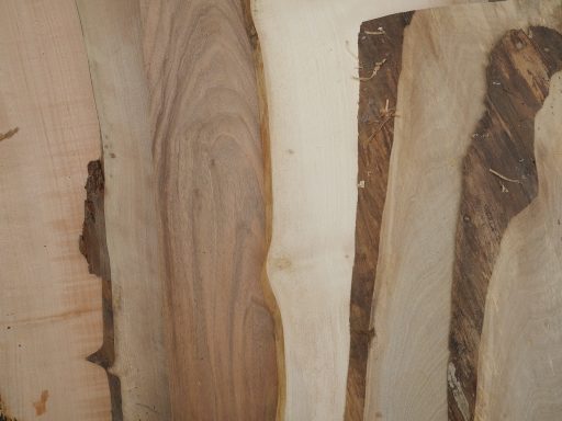 Choix des essences de bois feuillus provenant du bocage de forêts bretonnes et normandes